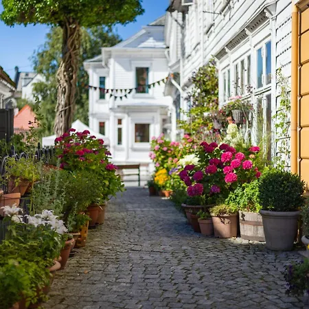 Apartment New! Modern In Historic Area Of Bergen! Bergen